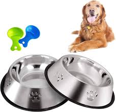 Legendog Stor Hundskål i Rostfritt Stål